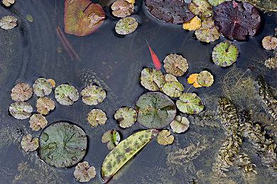 R星重申《GTA：三部曲-终极版》将登陆自家启动器